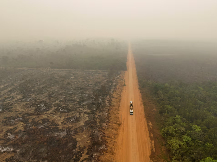 Image for Global CO2 emissions to hit record high in 2024, report says contribution